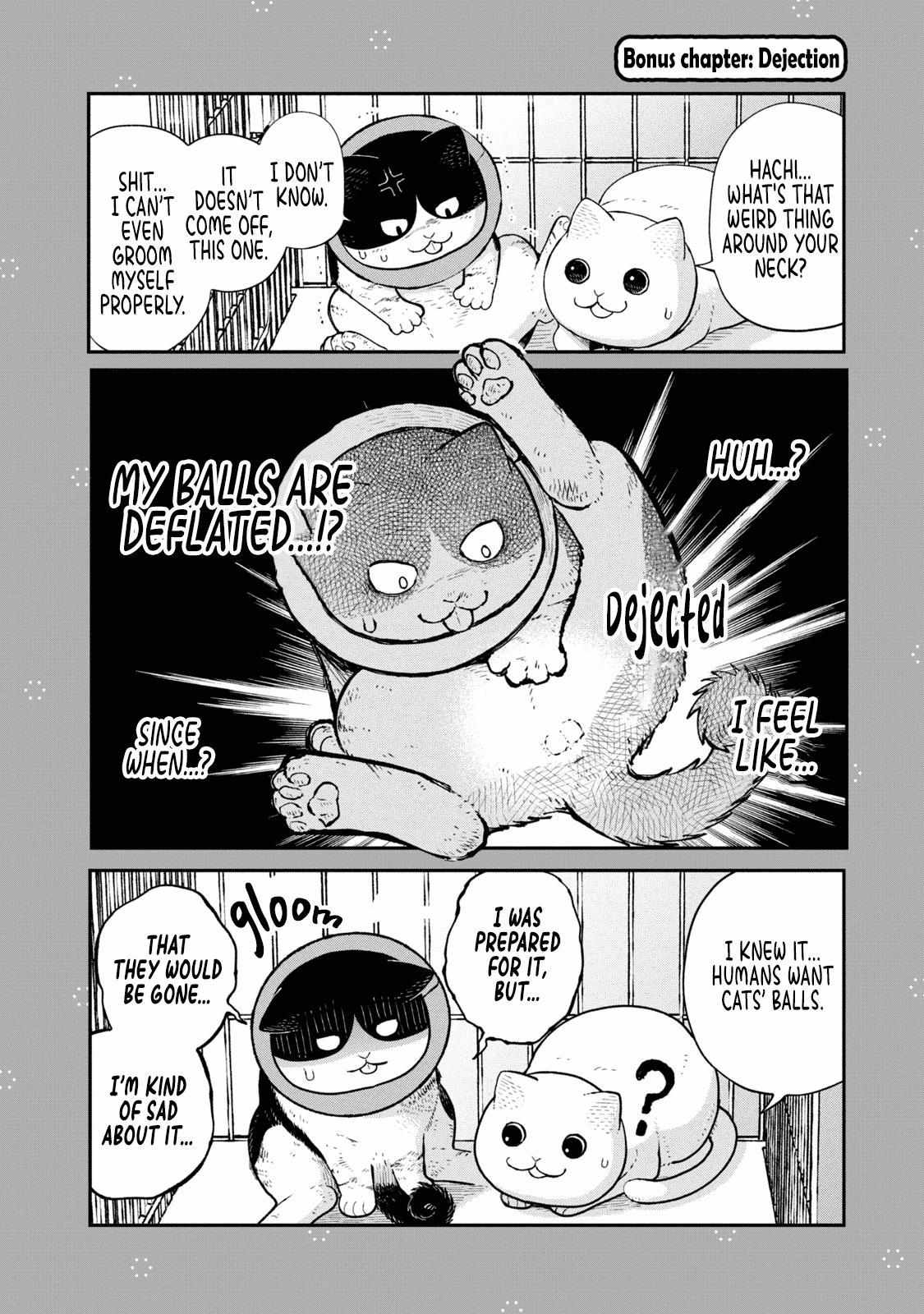 Tsureneko: Maruru to Hachi Chapter 14.1 page 2 - 