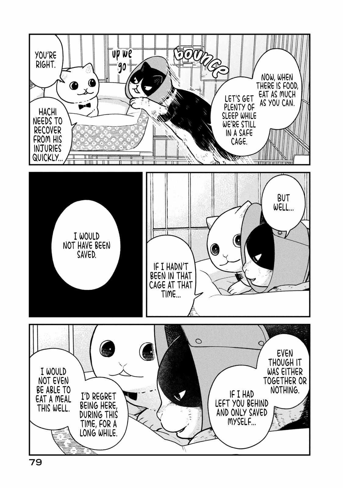 Tsureneko: Maruru to Hachi Chapter 14 page 11 - 
