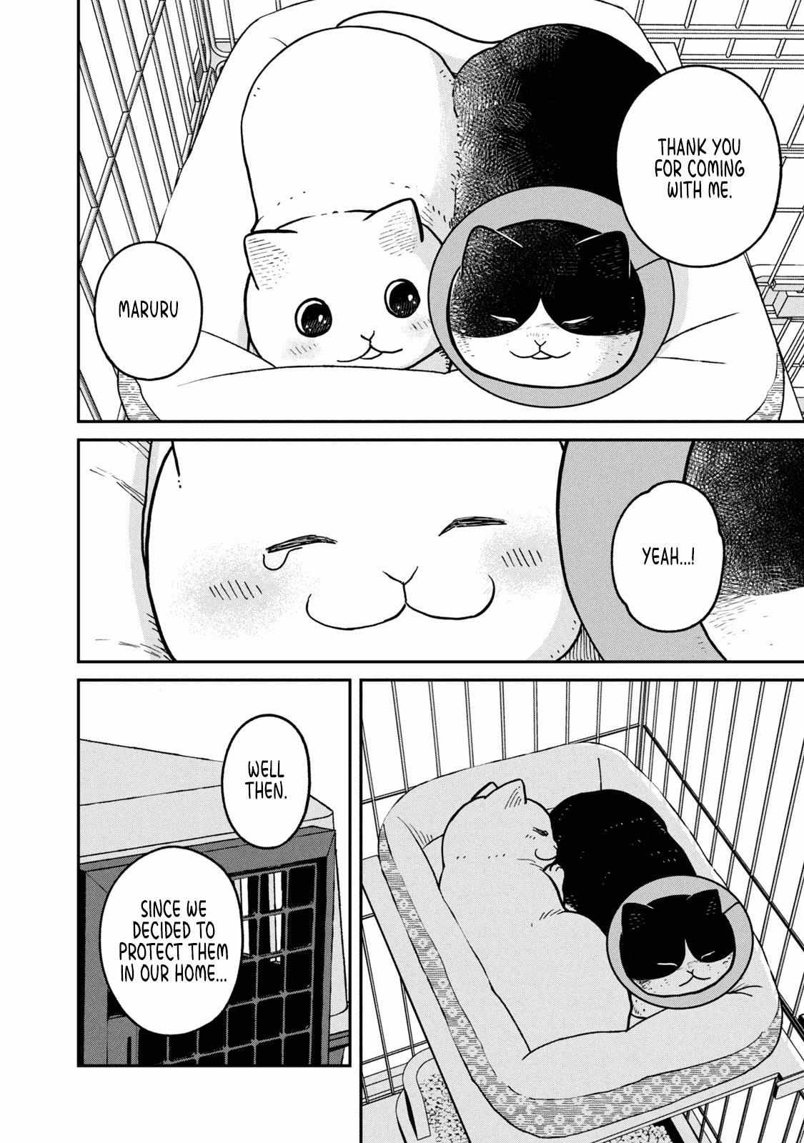 Tsureneko: Maruru to Hachi Chapter 14 page 12 - 