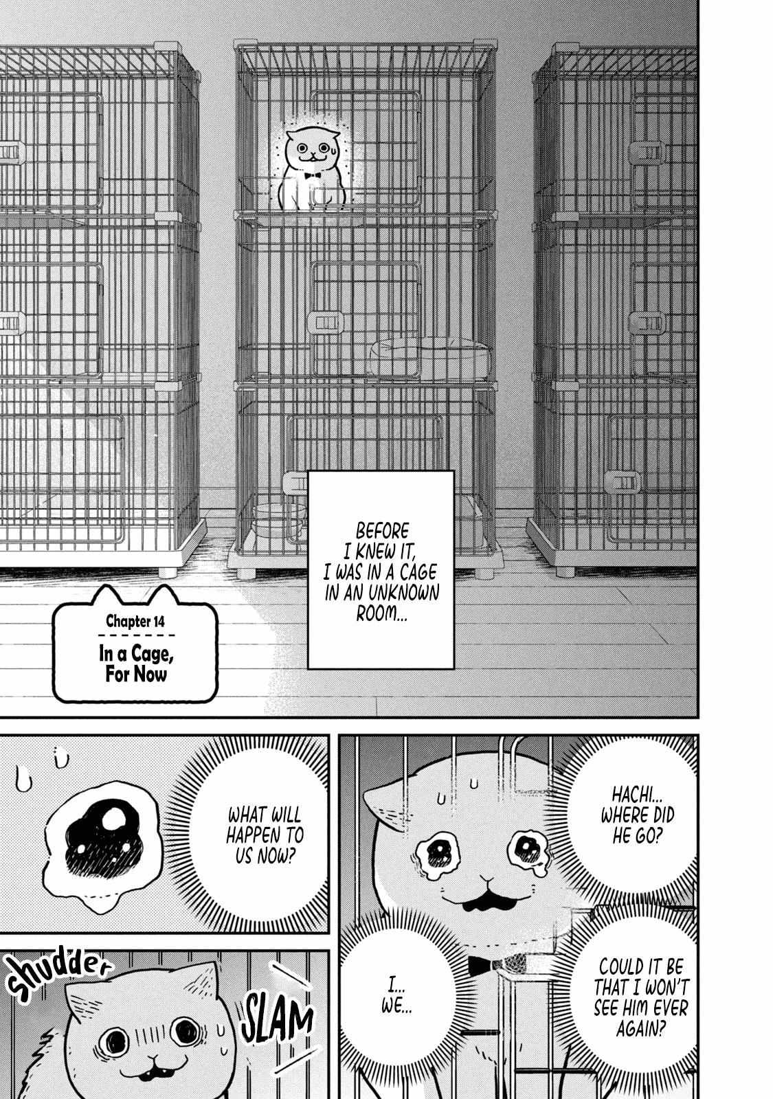 Tsureneko: Maruru to Hachi Chapter 14 page 3 - 