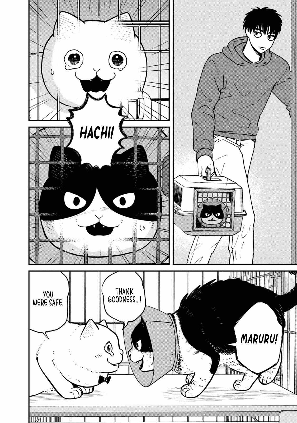 Tsureneko: Maruru to Hachi Chapter 14 page 4 - 