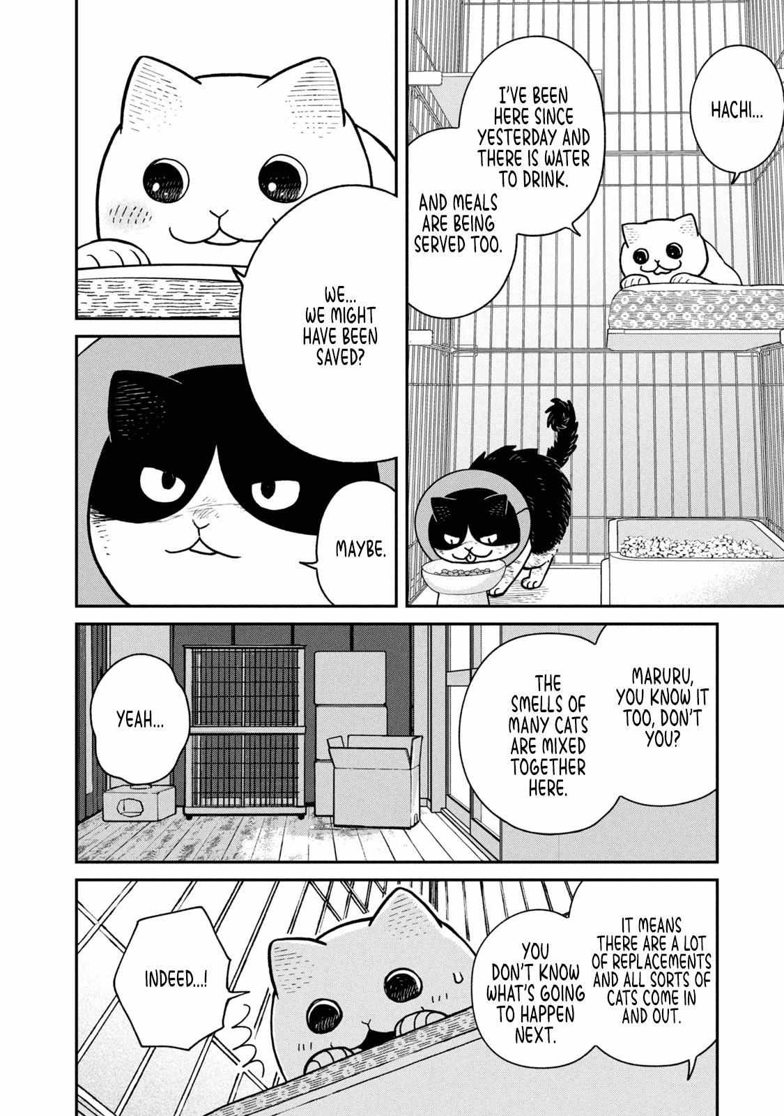 Tsureneko: Maruru to Hachi Chapter 14 page 10 - 