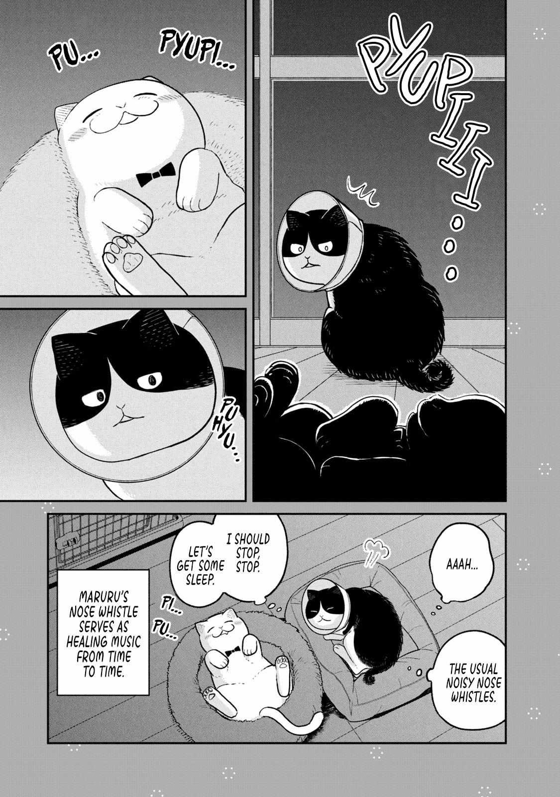 Tsureneko: Maruru to Hachi Chapter 15.1 page 3 - 