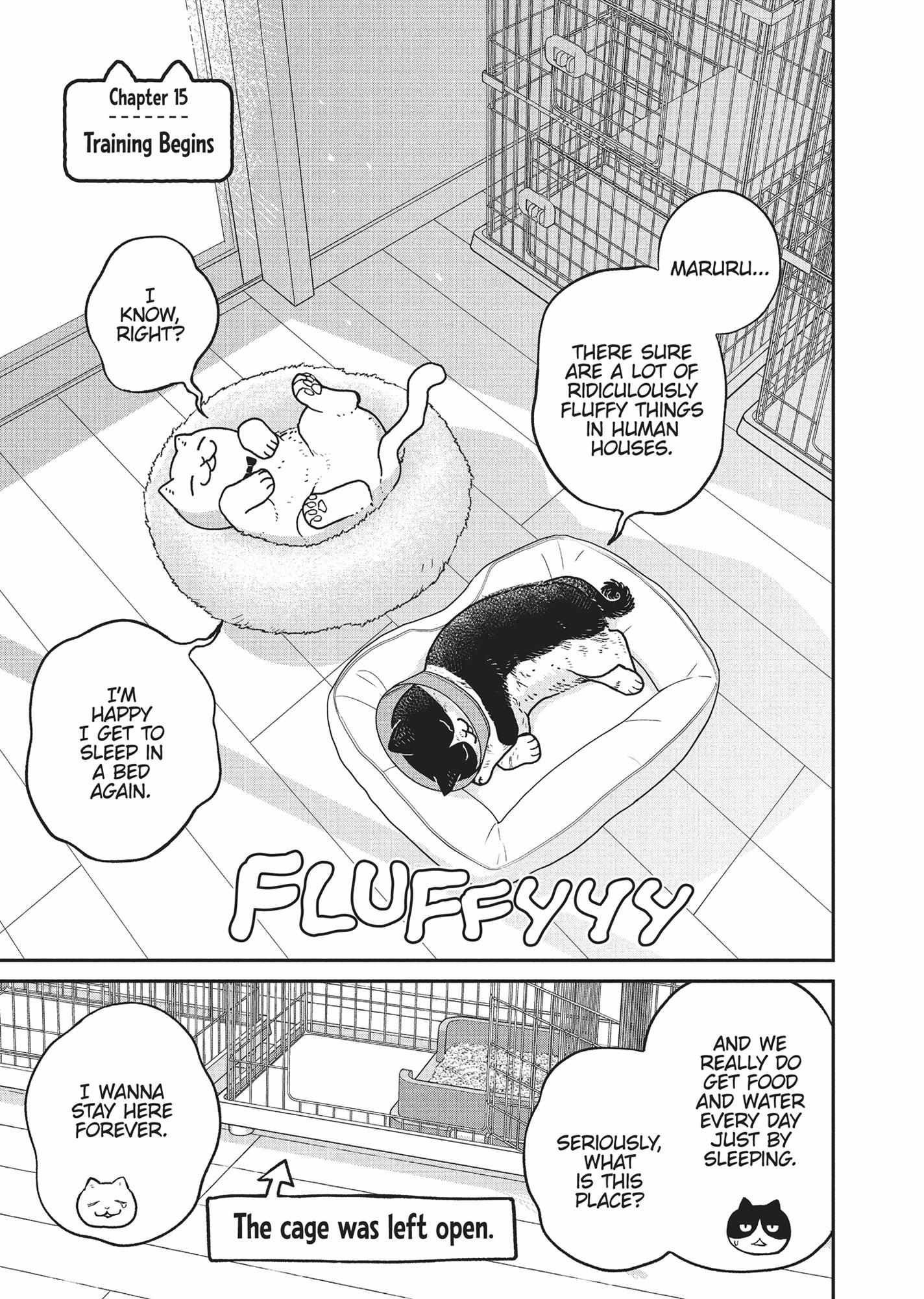 Tsureneko: Maruru to Hachi Chapter 15 page 1 - 