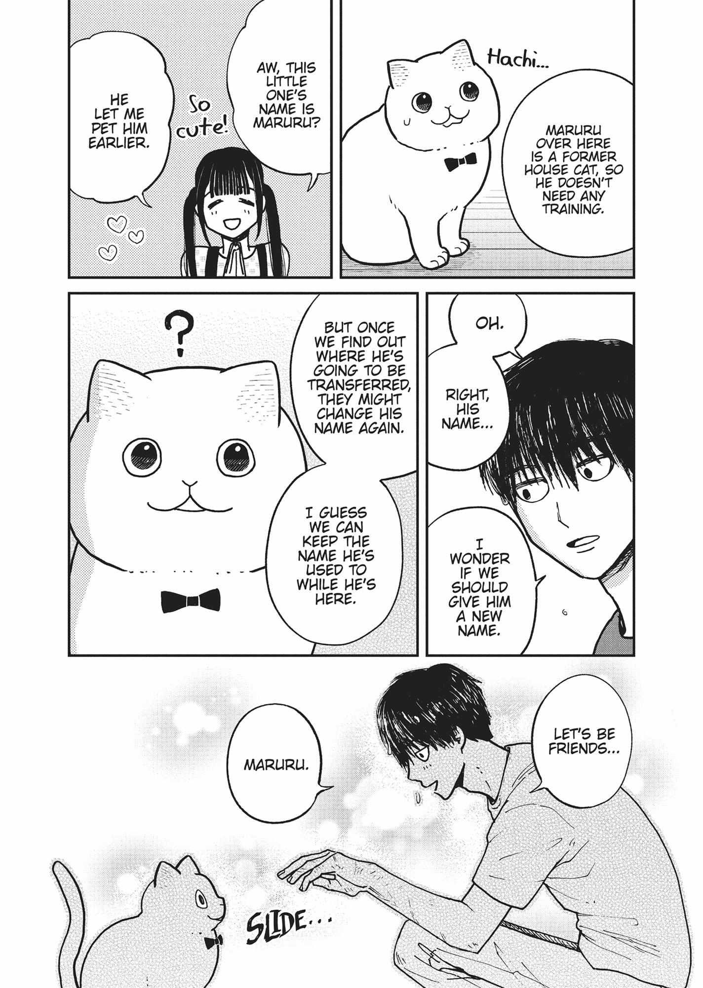 Tsureneko: Maruru to Hachi Chapter 15 page 11 - 