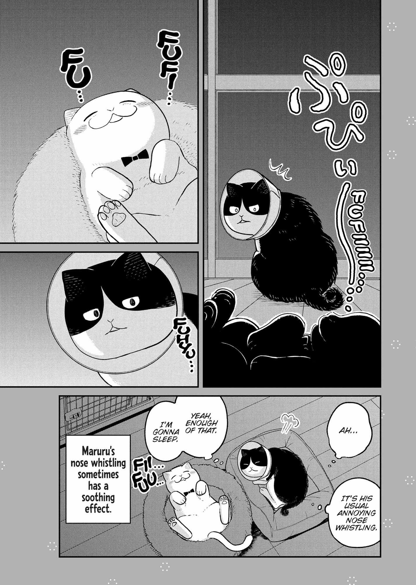 Tsureneko: Maruru to Hachi Chapter 15 page 15 - 