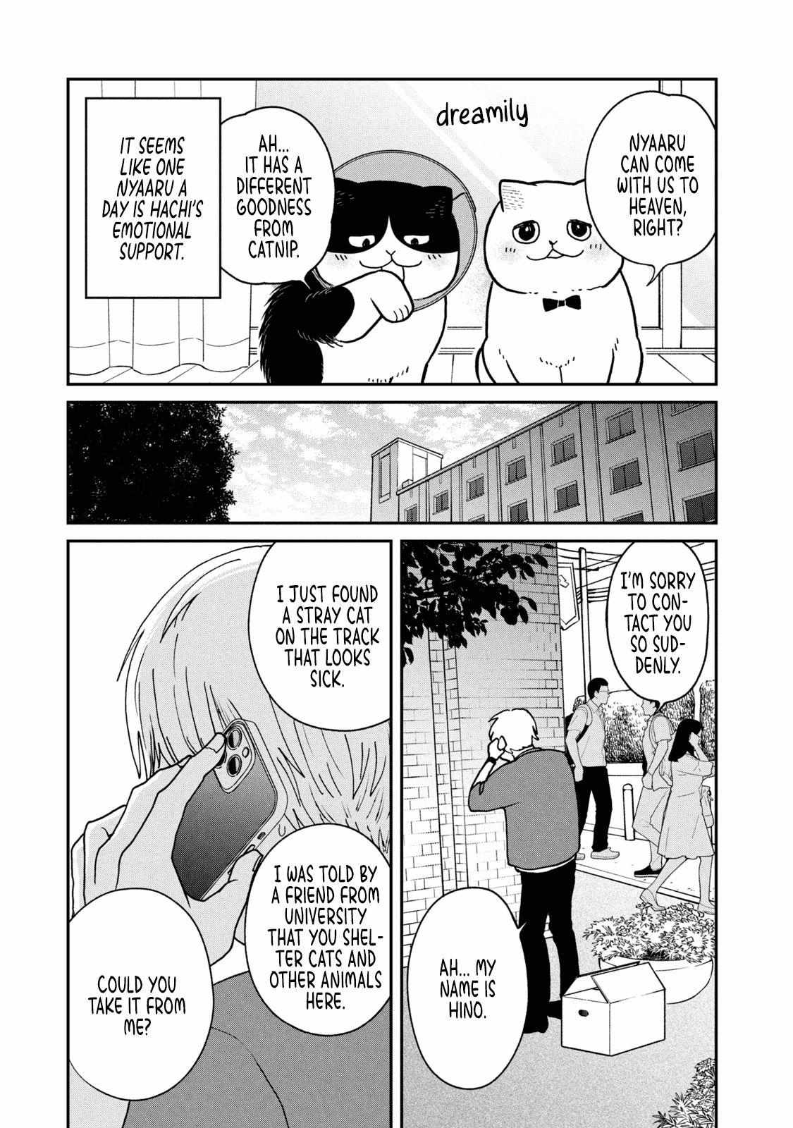 Tsureneko: Maruru to Hachi Chapter 16 page 11 - 