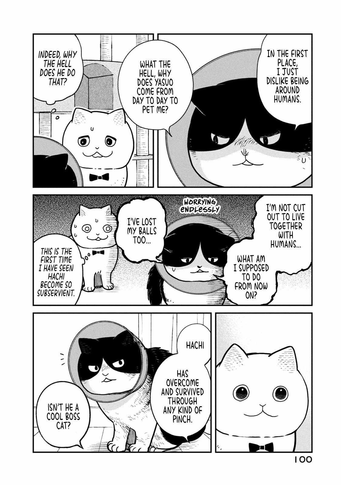 Tsureneko: Maruru to Hachi Chapter 16 page 4 - 