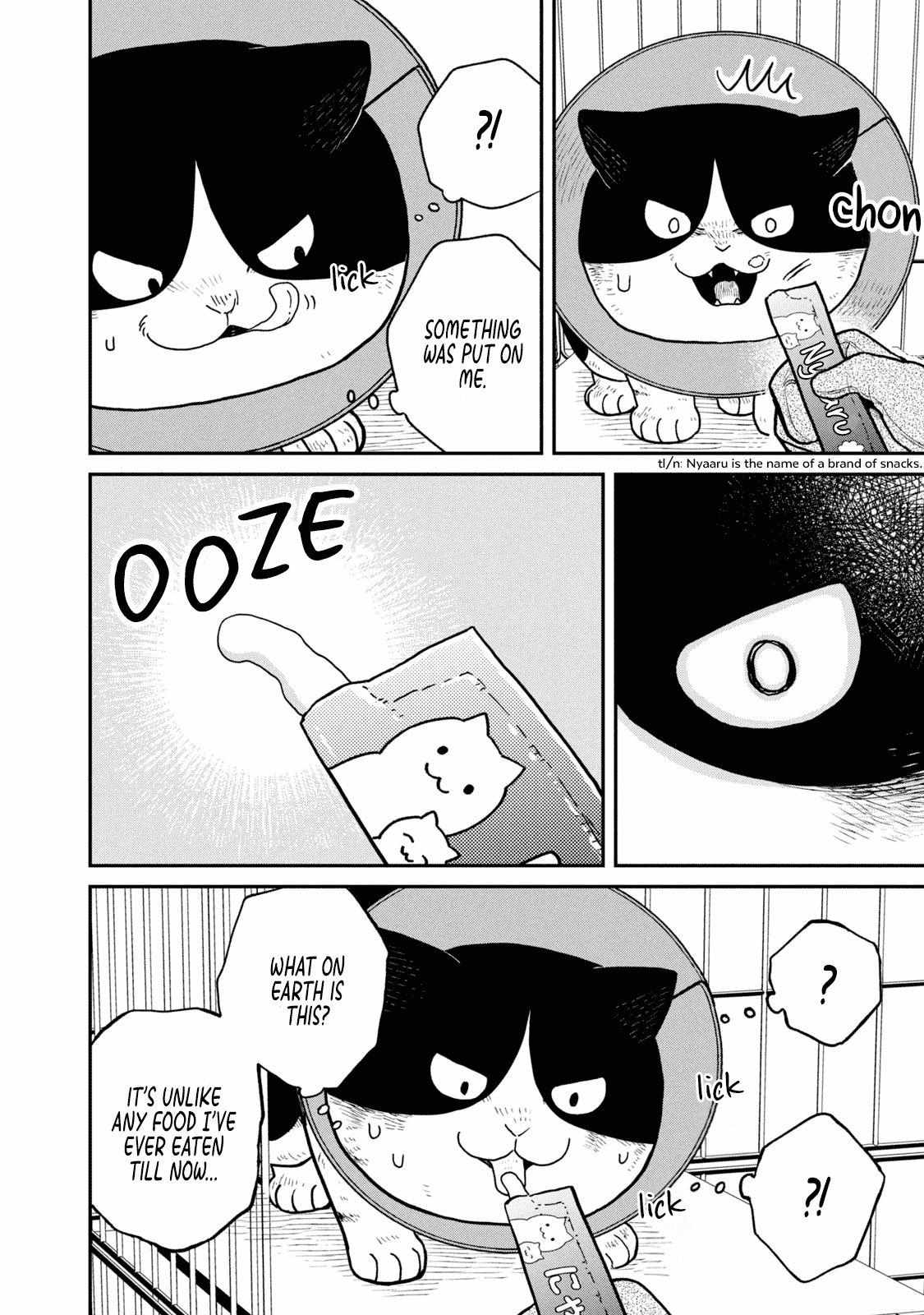 Tsureneko: Maruru to Hachi Chapter 16 page 6 - 