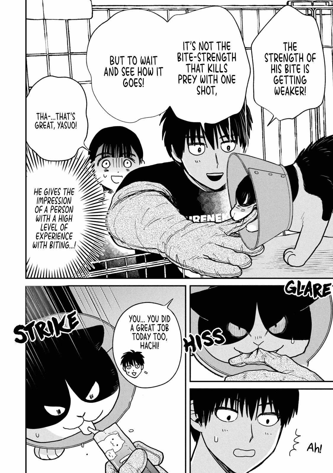 Tsureneko: Maruru to Hachi Chapter 16 page 10 - 