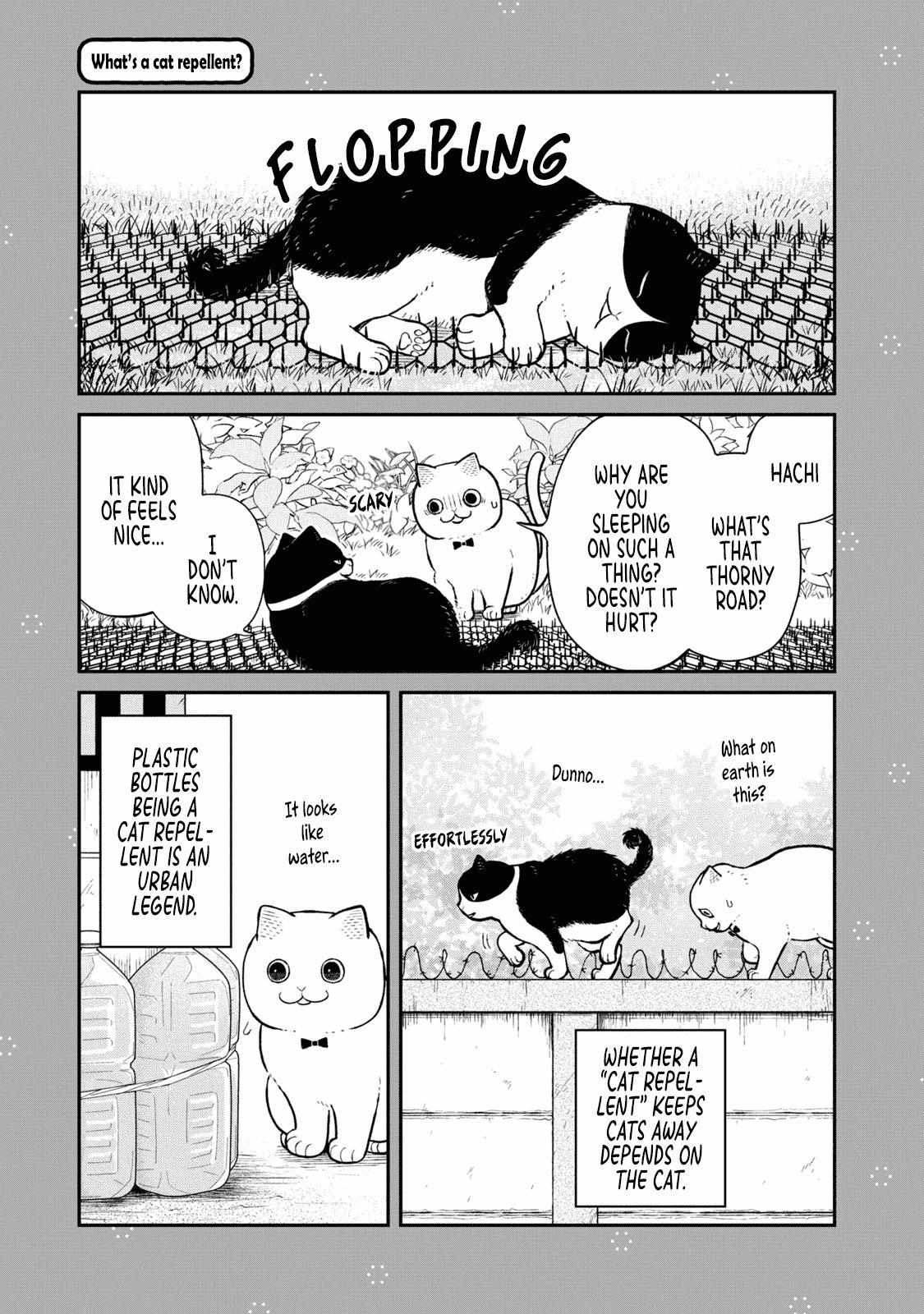 Tsureneko: Maruru to Hachi Chapter 18.1 page 11 - 