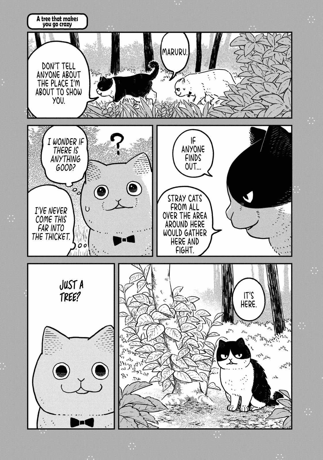 Tsureneko: Maruru to Hachi Chapter 18.1 page 15 - 