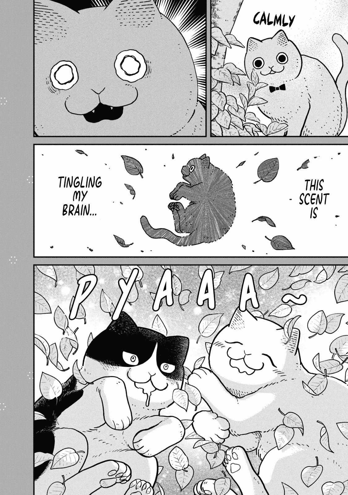 Tsureneko: Maruru to Hachi Chapter 18.1 page 16 - 