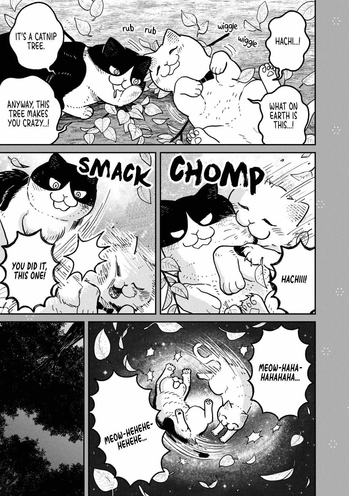 Tsureneko: Maruru to Hachi Chapter 18.1 page 17 - 