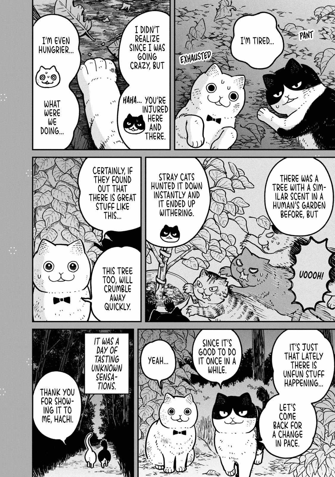 Tsureneko: Maruru to Hachi Chapter 18.1 page 18 - 