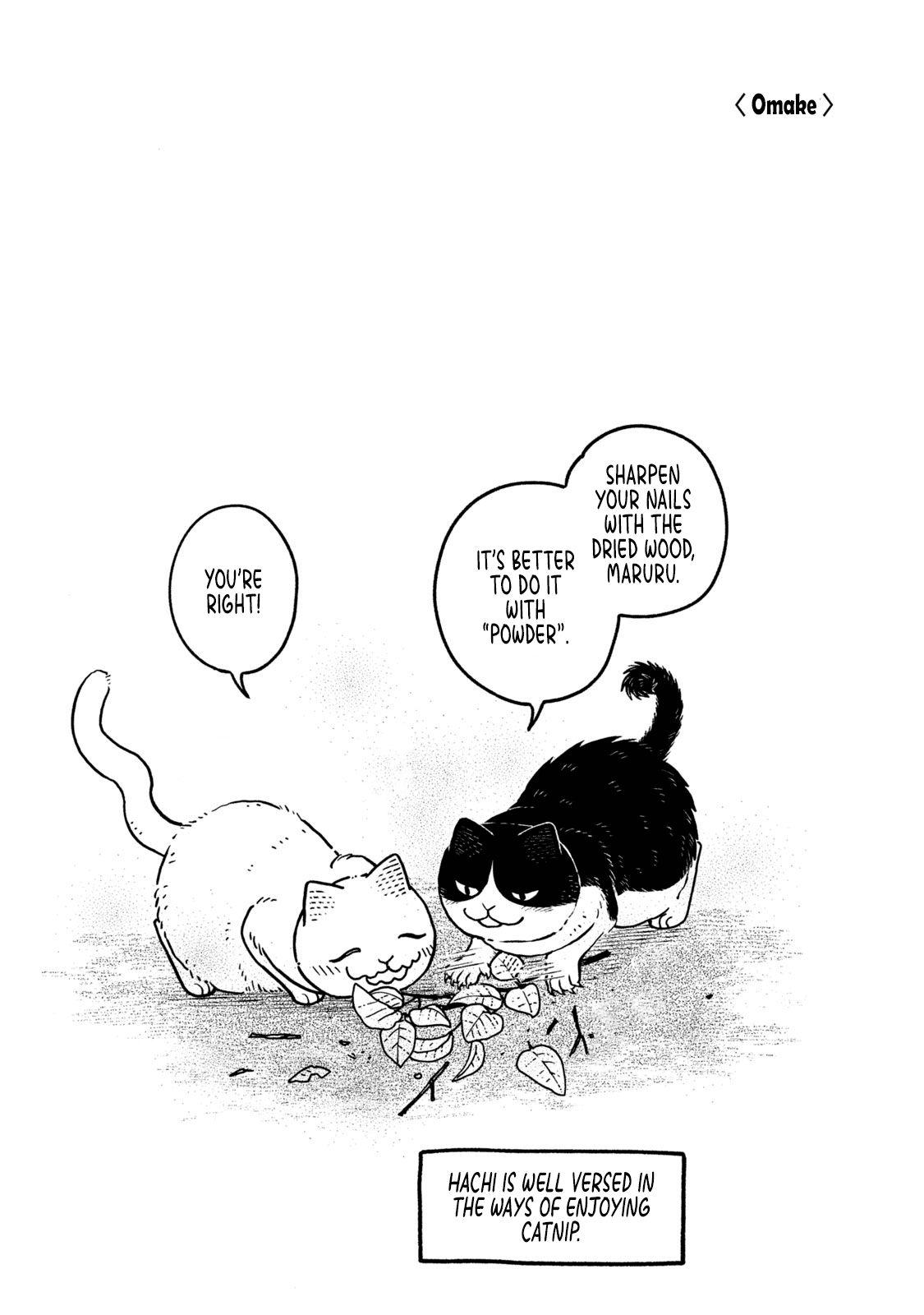 Tsureneko: Maruru to Hachi Chapter 18.1 page 19 - 