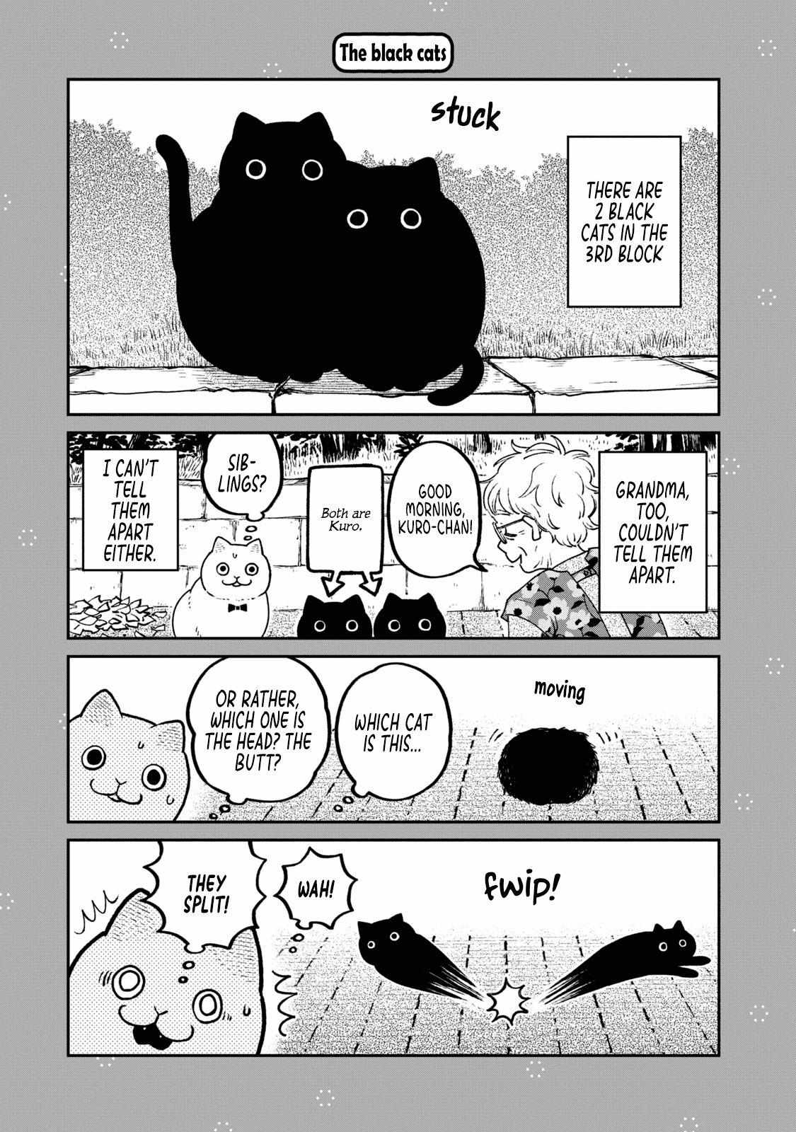 Tsureneko: Maruru to Hachi Chapter 18.1 page 3 - 