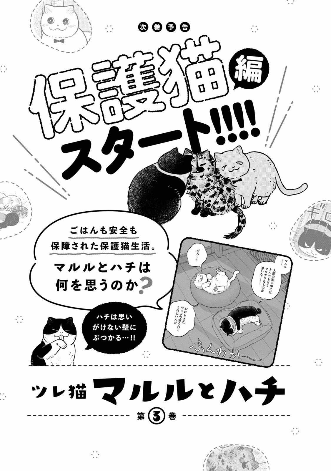 Tsureneko: Maruru to Hachi Chapter 18.1 page 21 - 