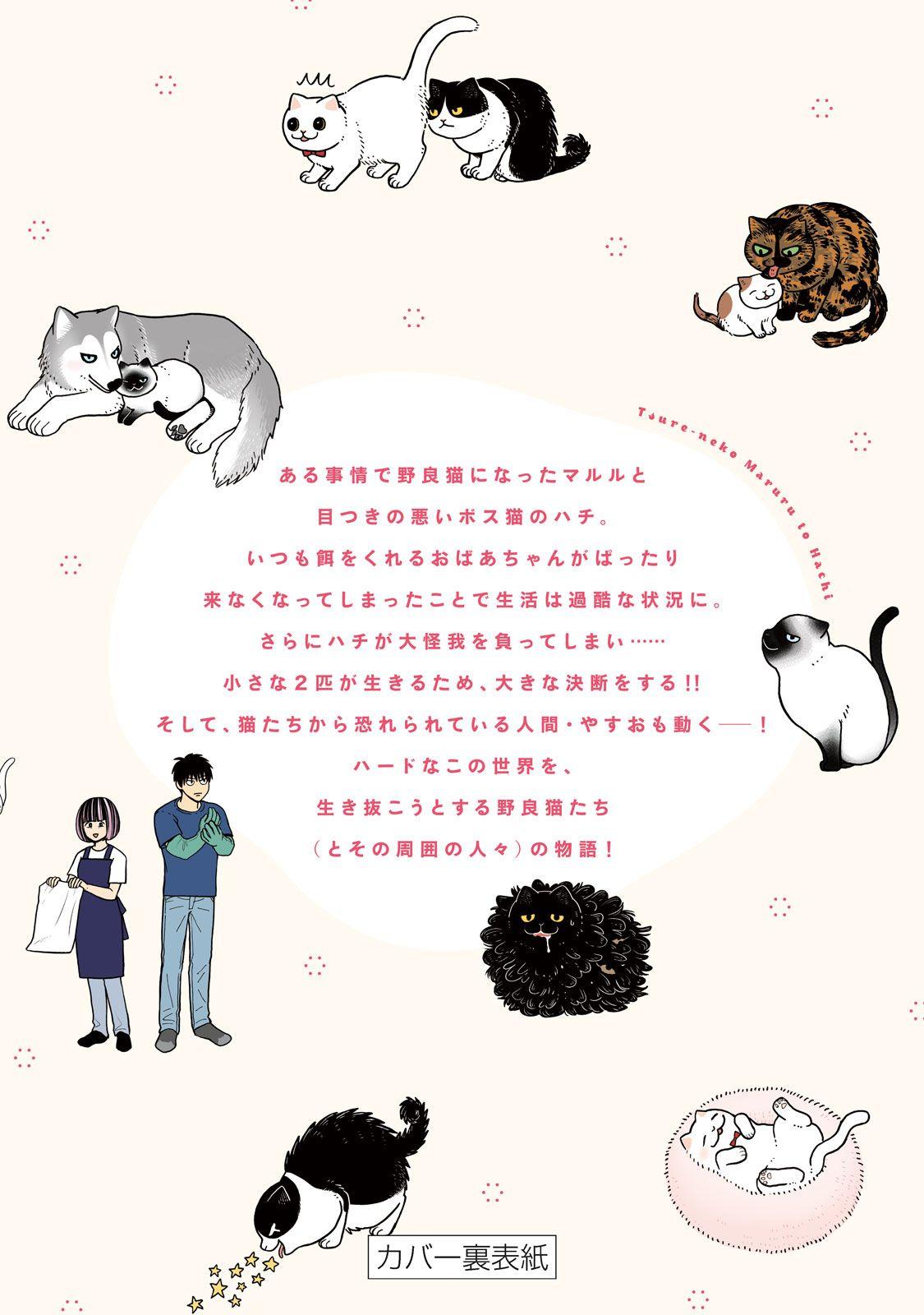 Tsureneko: Maruru to Hachi Chapter 18.1 page 27 - 