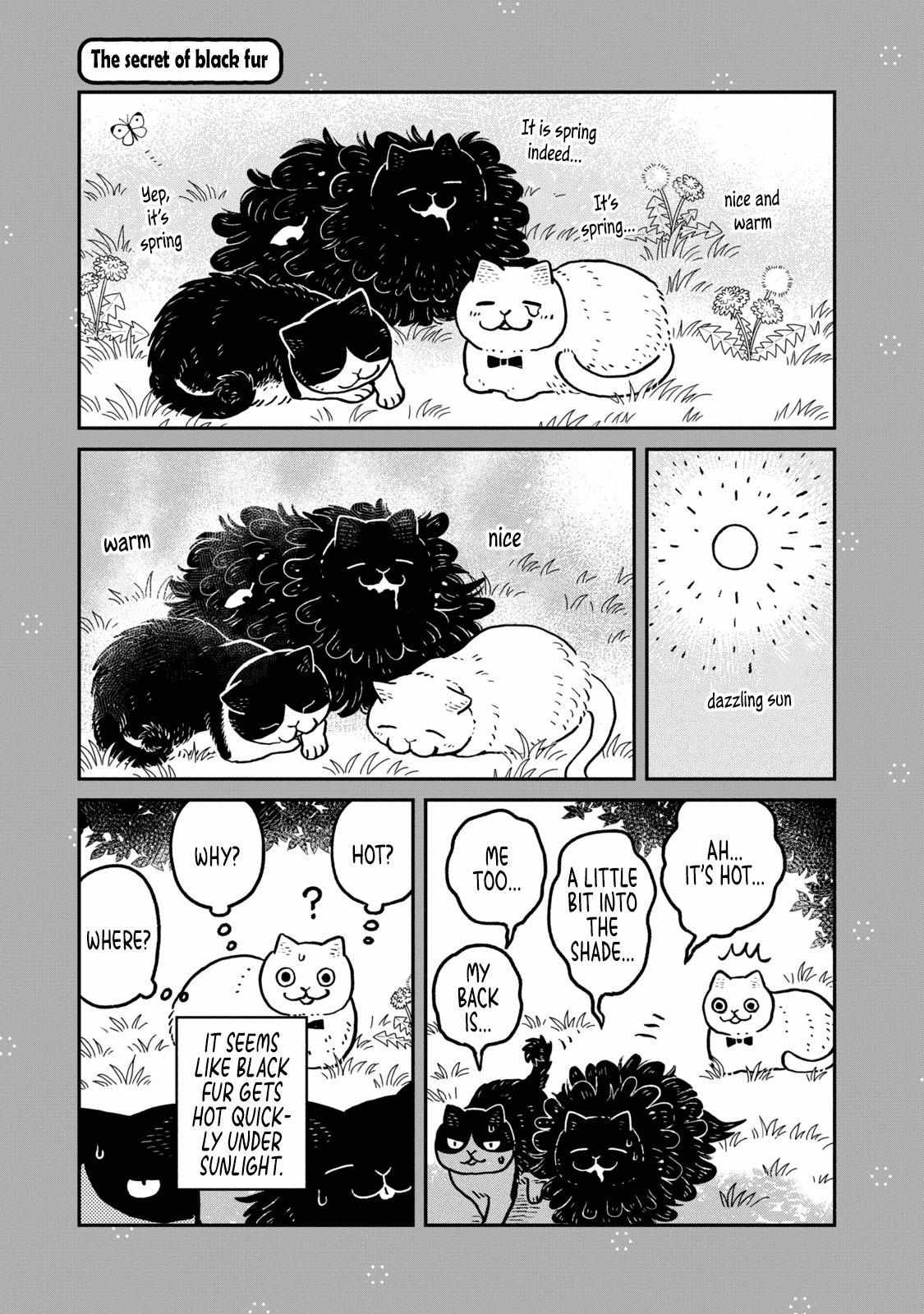 Tsureneko: Maruru to Hachi Chapter 18.1 page 5 - 