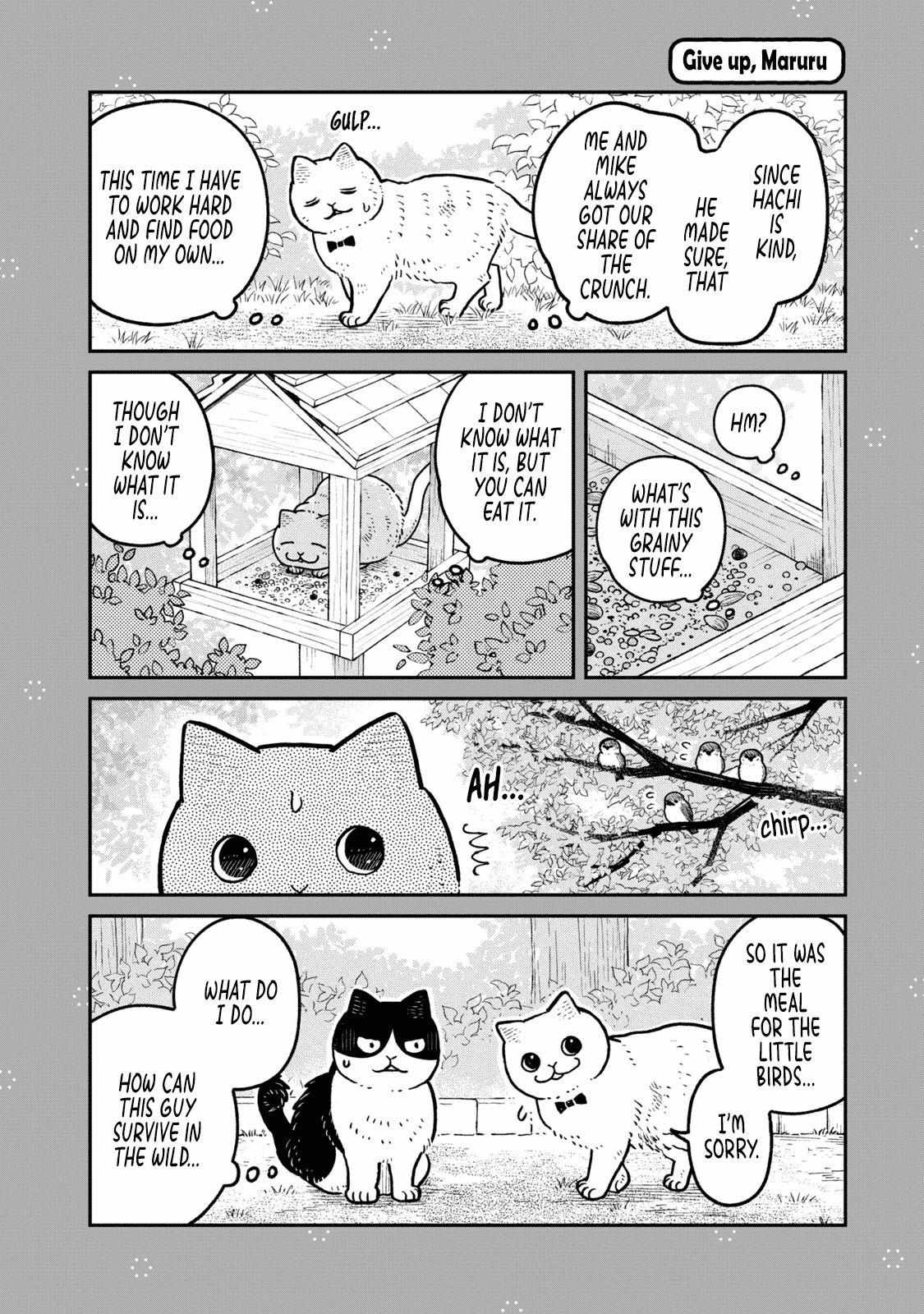 Tsureneko: Maruru to Hachi Chapter 18.1 page 6 - 