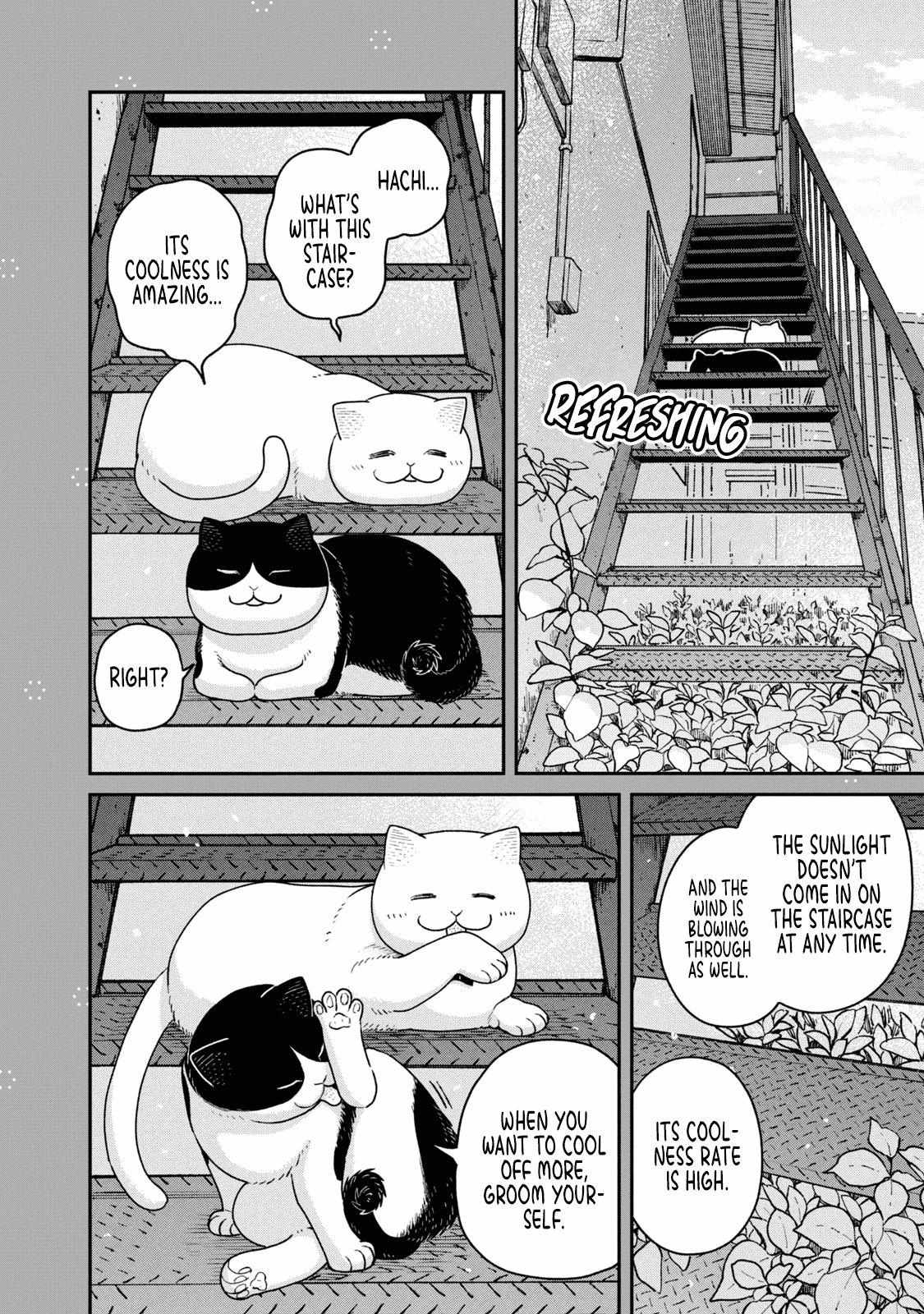 Tsureneko: Maruru to Hachi Chapter 18.1 page 8 - 