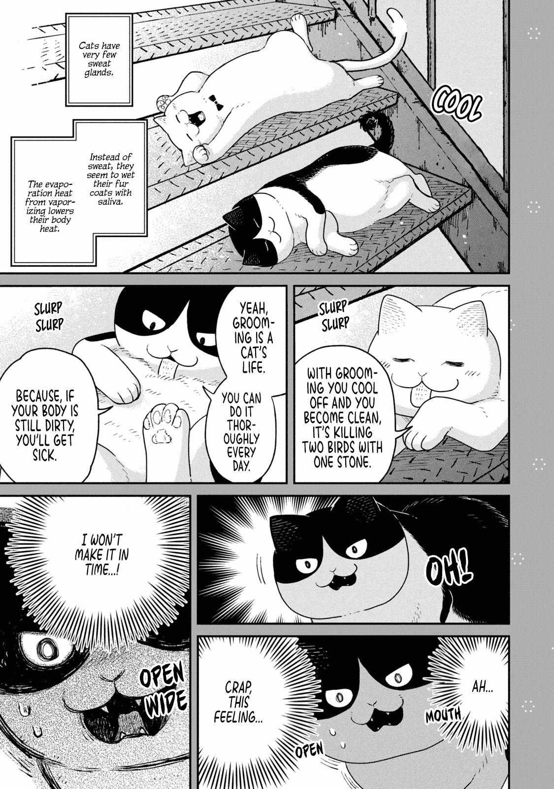 Tsureneko: Maruru to Hachi Chapter 18.1 page 9 - 