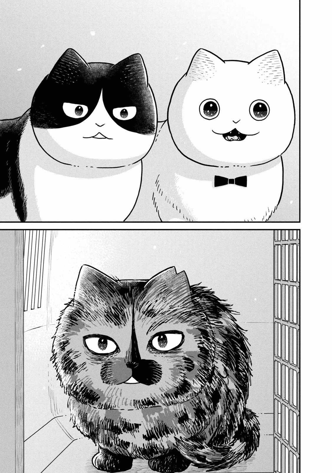 Tsureneko: Maruru to Hachi Chapter 18 page 12 - 