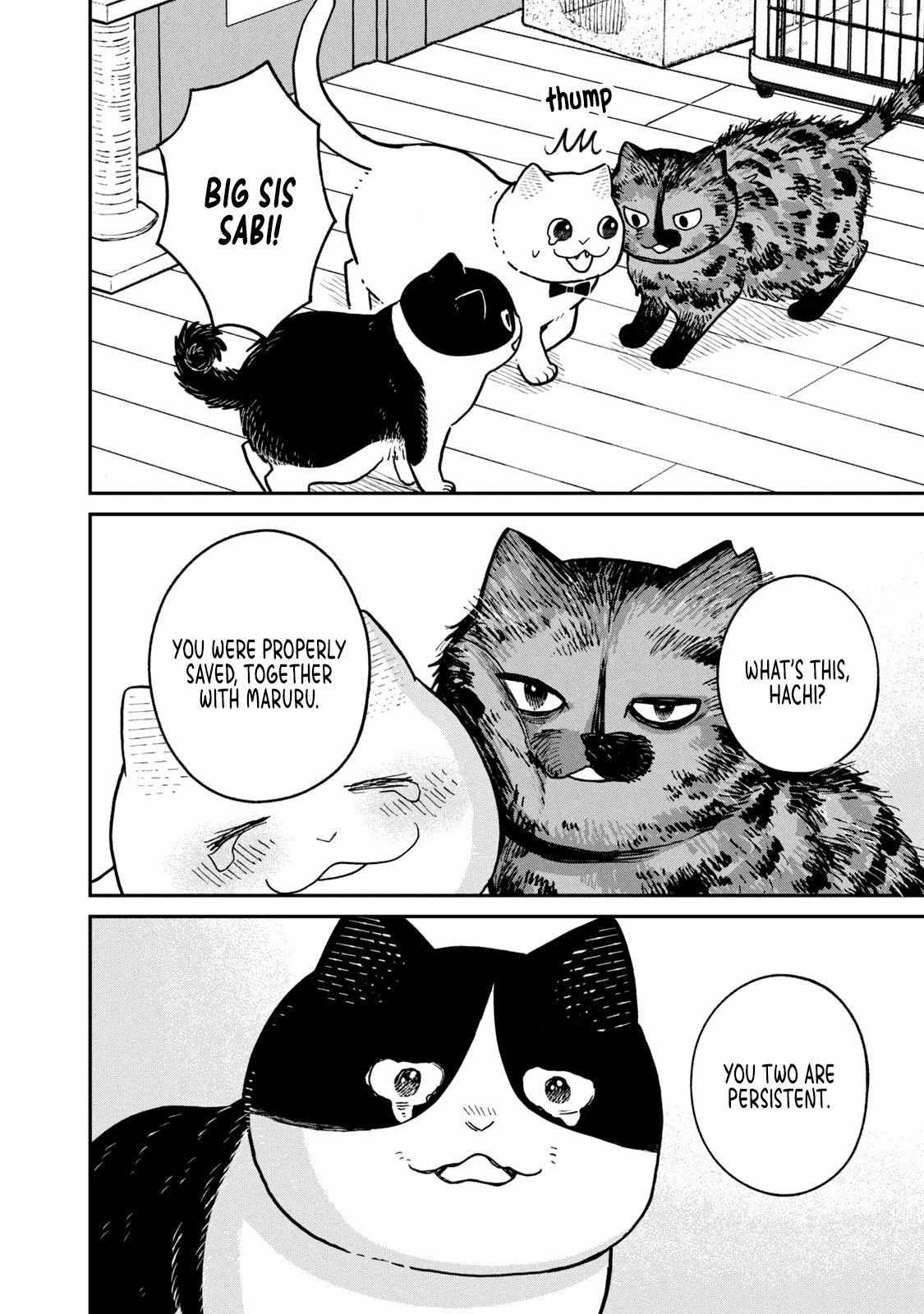 Tsureneko: Maruru to Hachi Chapter 18 page 13 - 