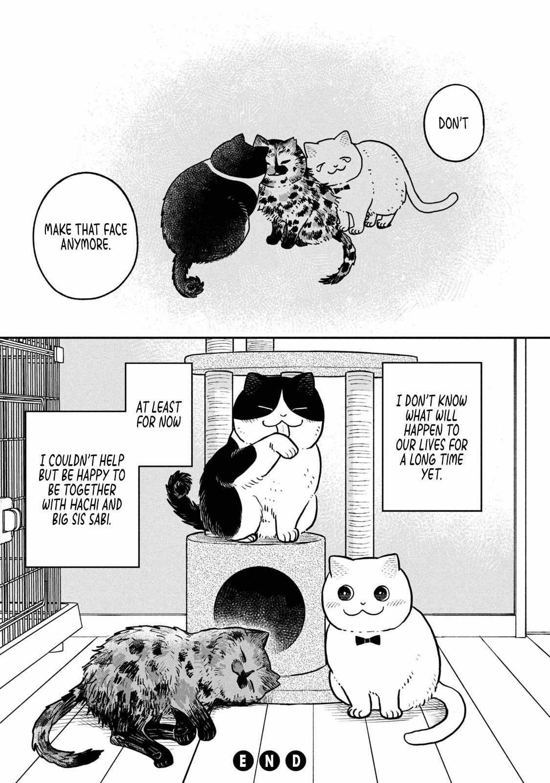 Tsureneko: Maruru to Hachi Chapter 18 page 14 - 