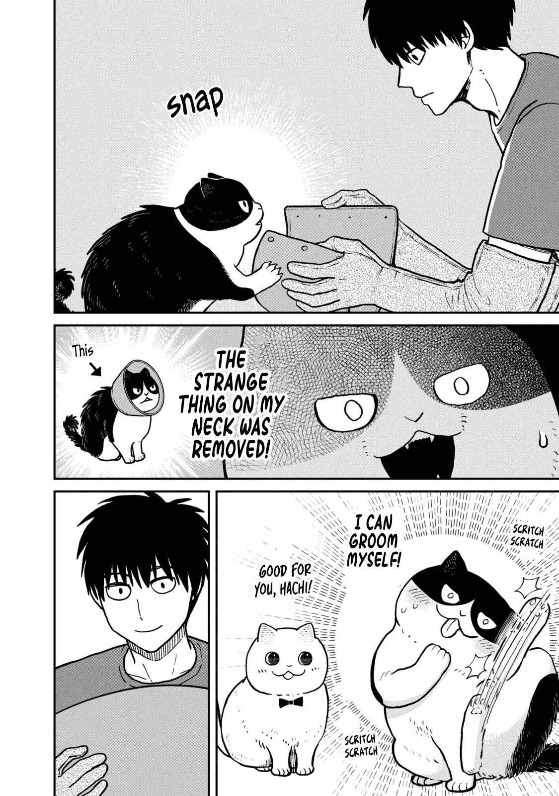 Tsureneko: Maruru to Hachi Chapter 18 page 7 - 