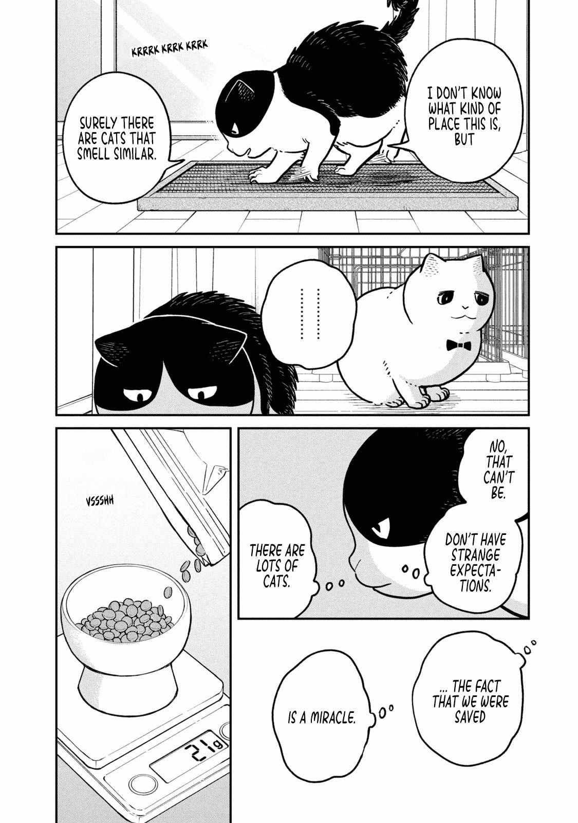 Tsureneko: Maruru to Hachi Chapter 18 page 9 - 