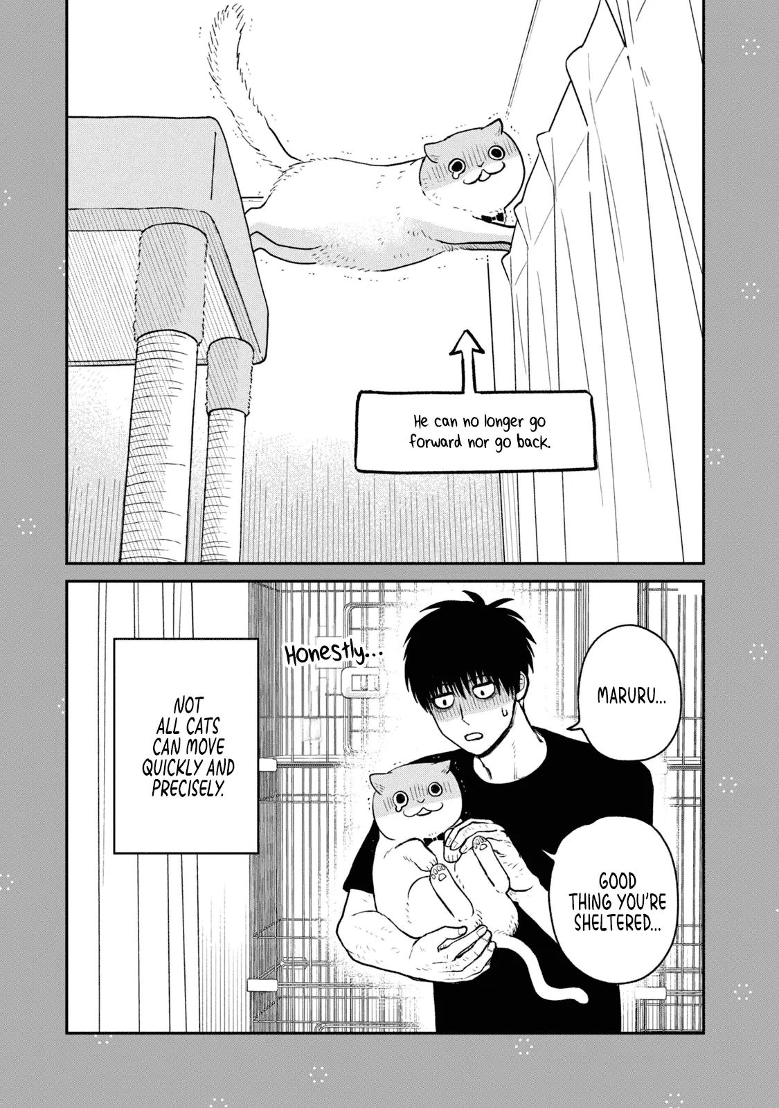 Tsureneko: Maruru to Hachi Chapter 19.1 page 3 - 