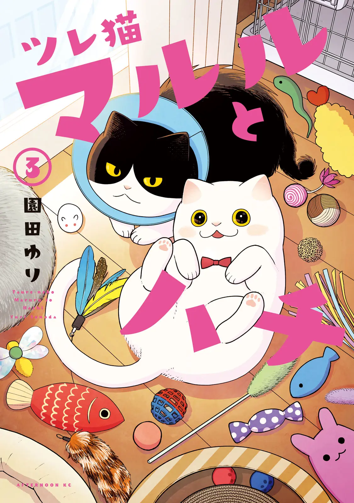 Tsureneko: Maruru to Hachi Chapter 19 page 2 - 