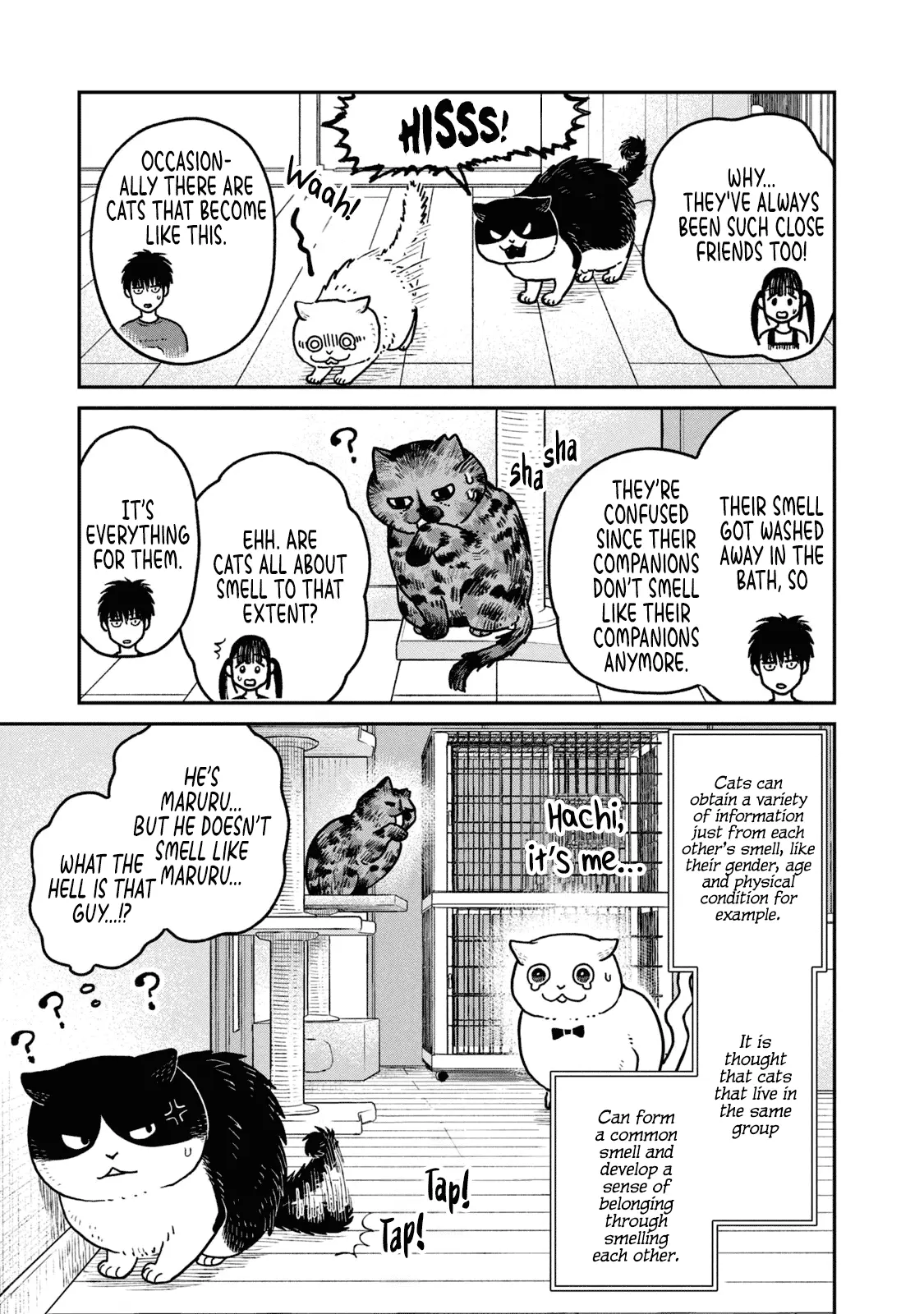 Tsureneko: Maruru to Hachi Chapter 19 page 14 - 