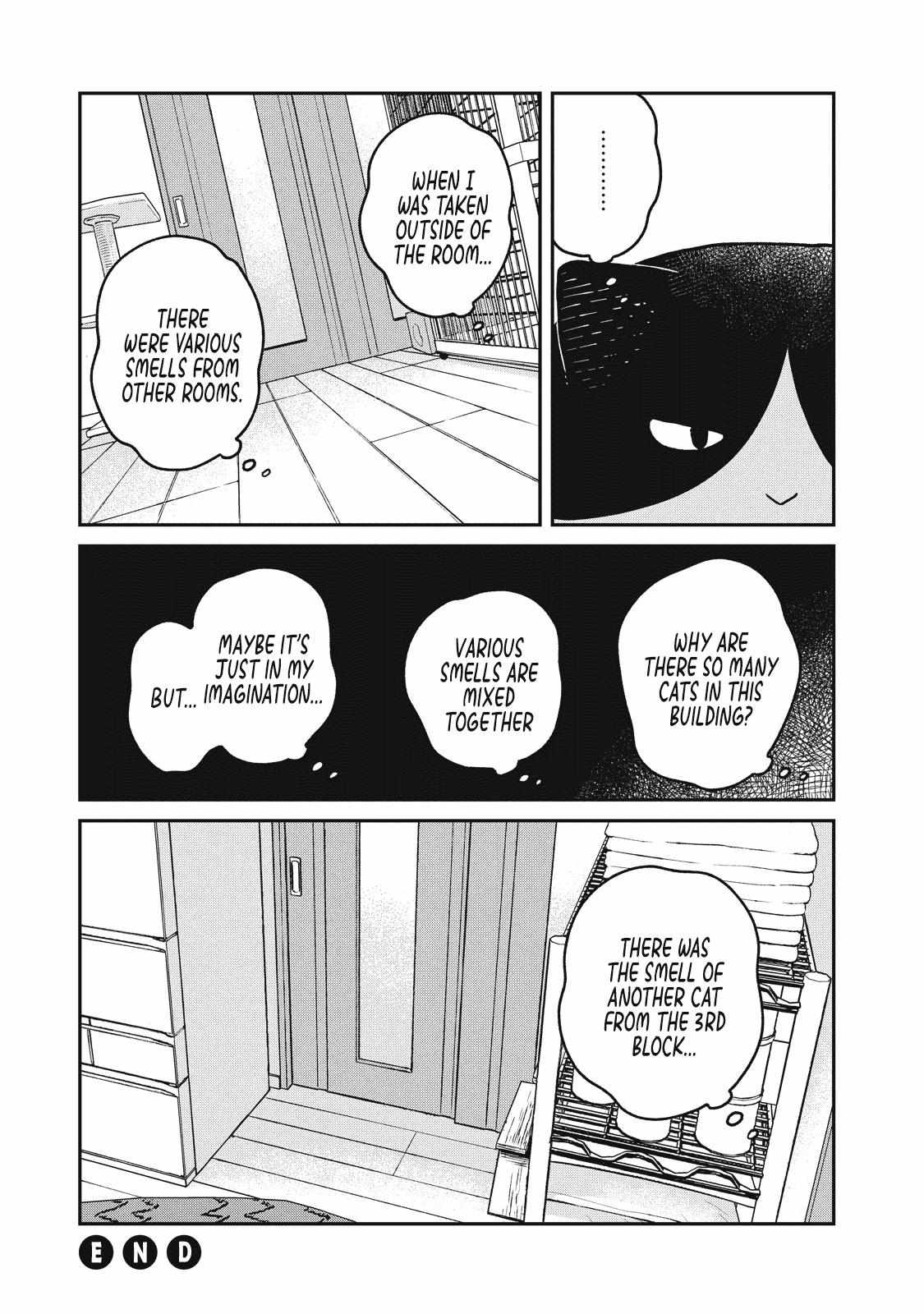 Tsureneko: Maruru to Hachi Chapter 19 page 16 - 