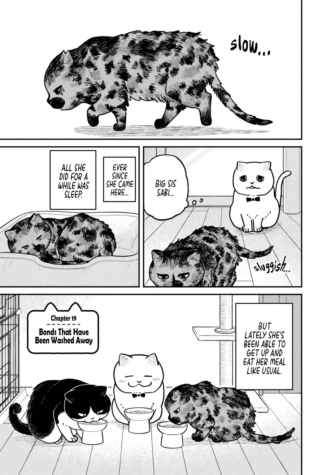 Tsureneko: Maruru to Hachi Chapter 19 page 6 - 