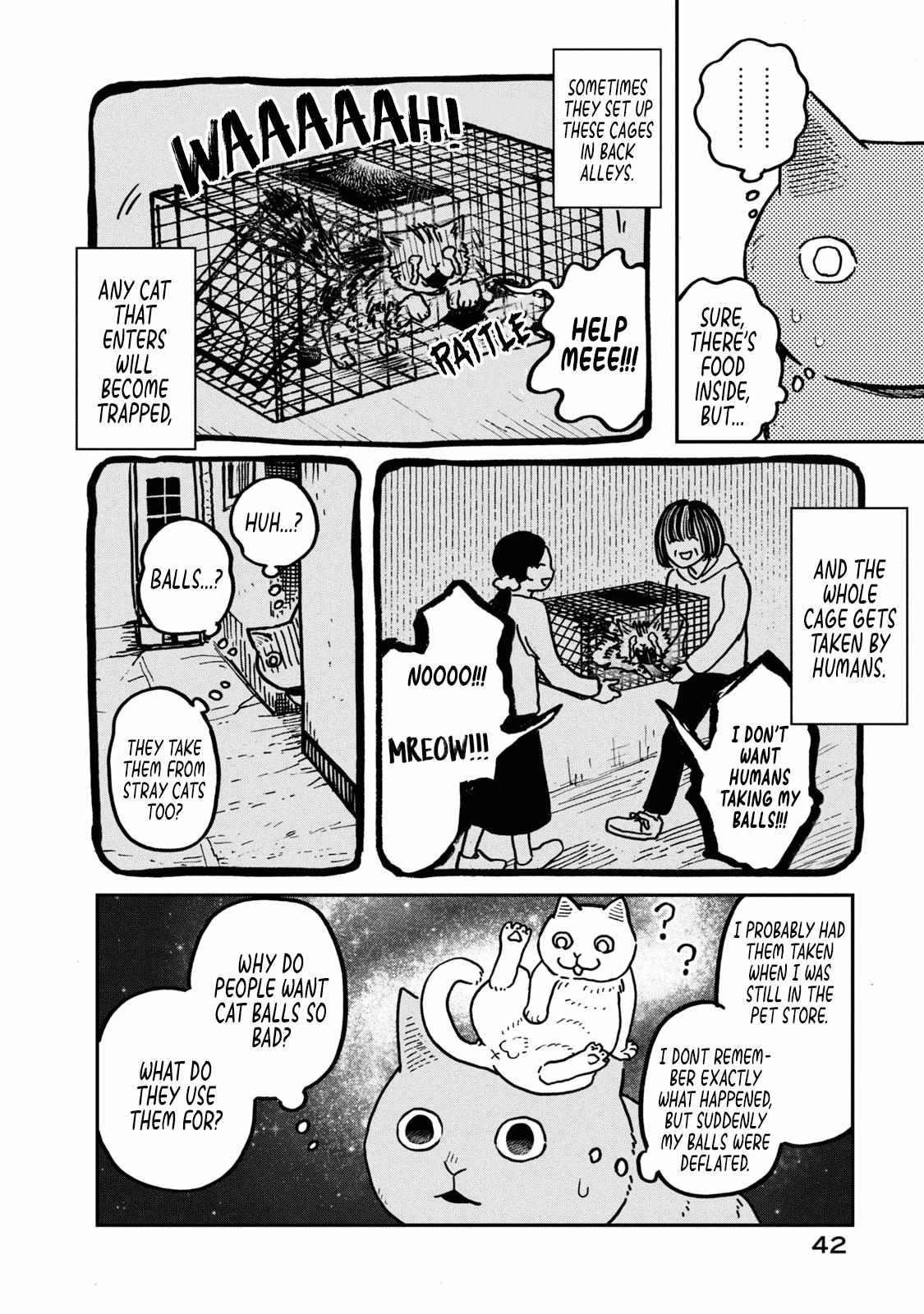 Tsureneko: Maruru to Hachi Chapter 2 page 11 - 
