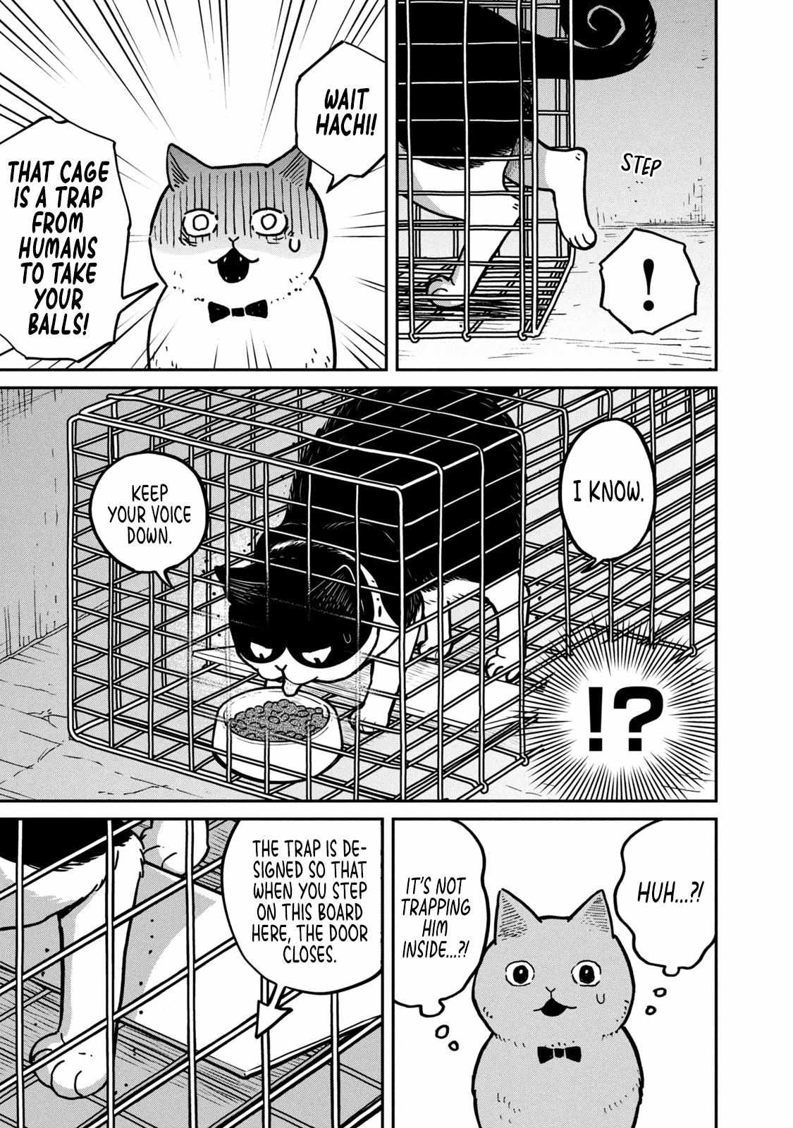 Tsureneko: Maruru to Hachi Chapter 2 page 12 - 