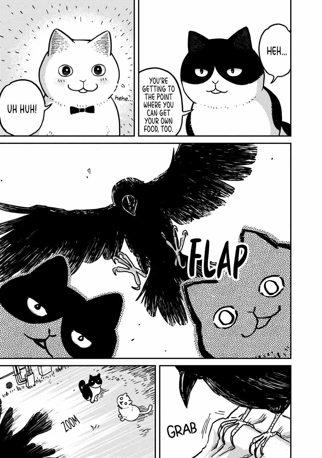 Tsureneko: Maruru to Hachi Chapter 2 page 16 - 