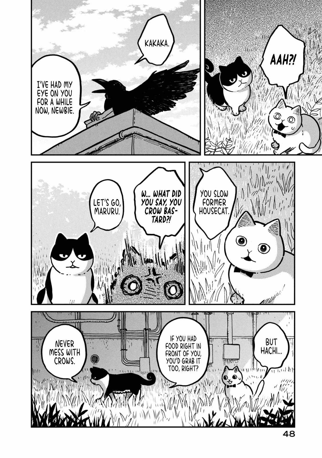 Tsureneko: Maruru to Hachi Chapter 2 page 17 - 