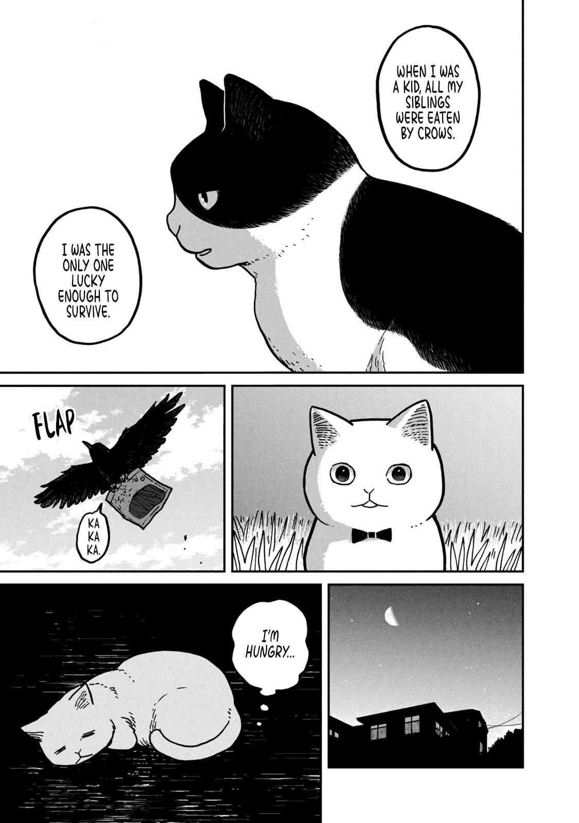 Tsureneko: Maruru to Hachi Chapter 2 page 18 - 