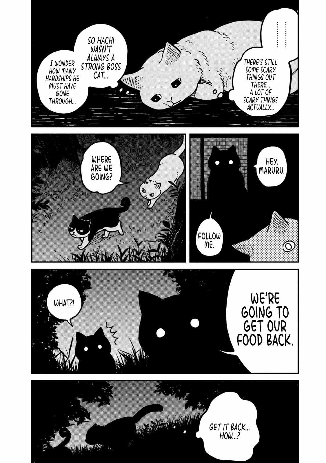 Tsureneko: Maruru to Hachi Chapter 2 page 19 - 