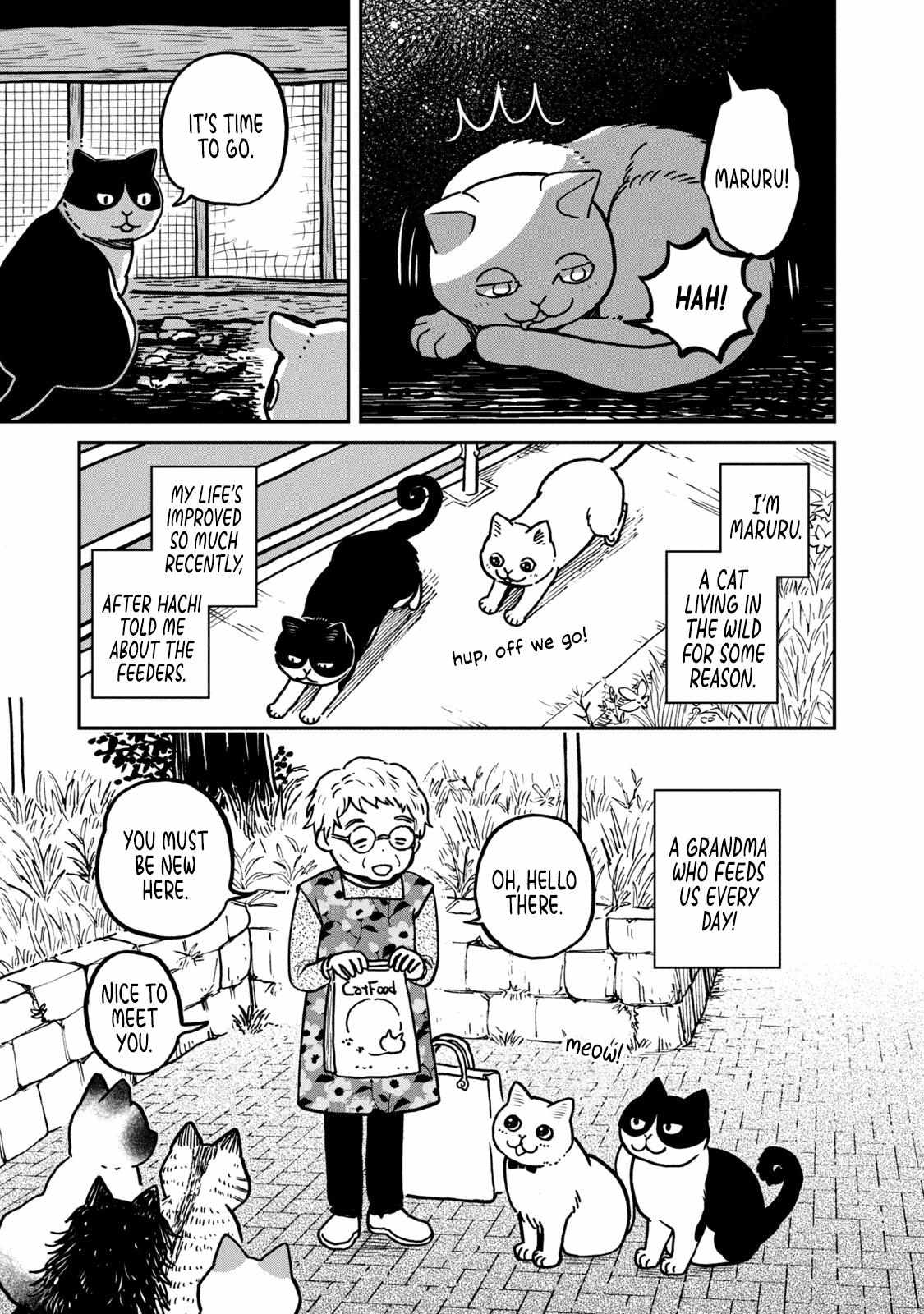 Tsureneko: Maruru to Hachi Chapter 2 page 4 - 
