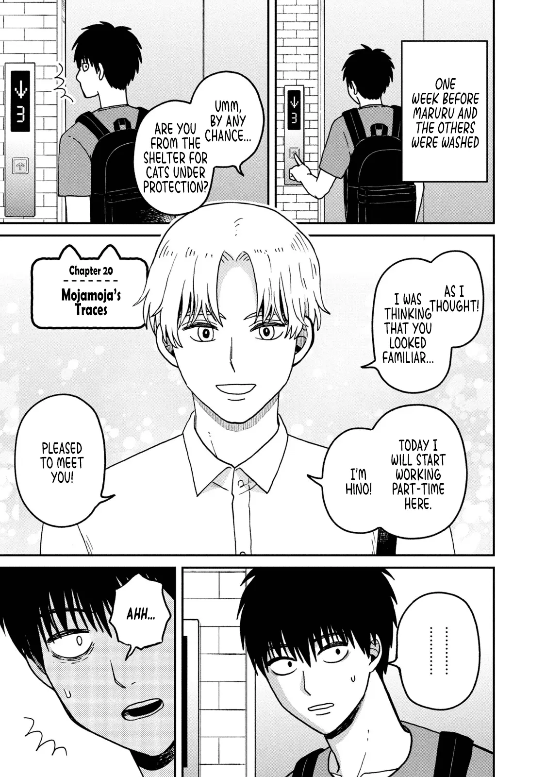 Tsureneko: Maruru to Hachi Chapter 20 page 2 - 