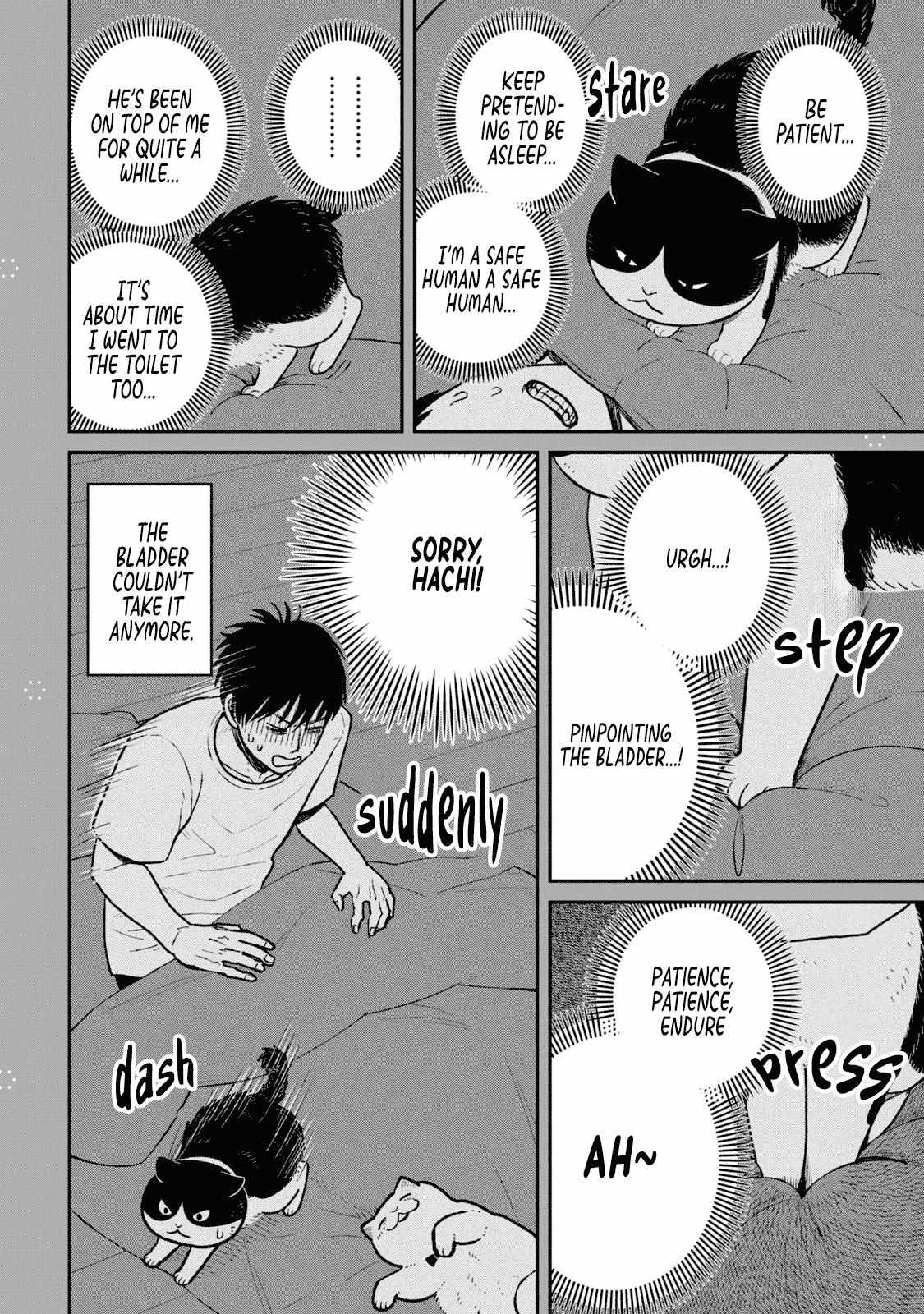 Tsureneko: Maruru to Hachi Chapter 22.1 page 2 - 