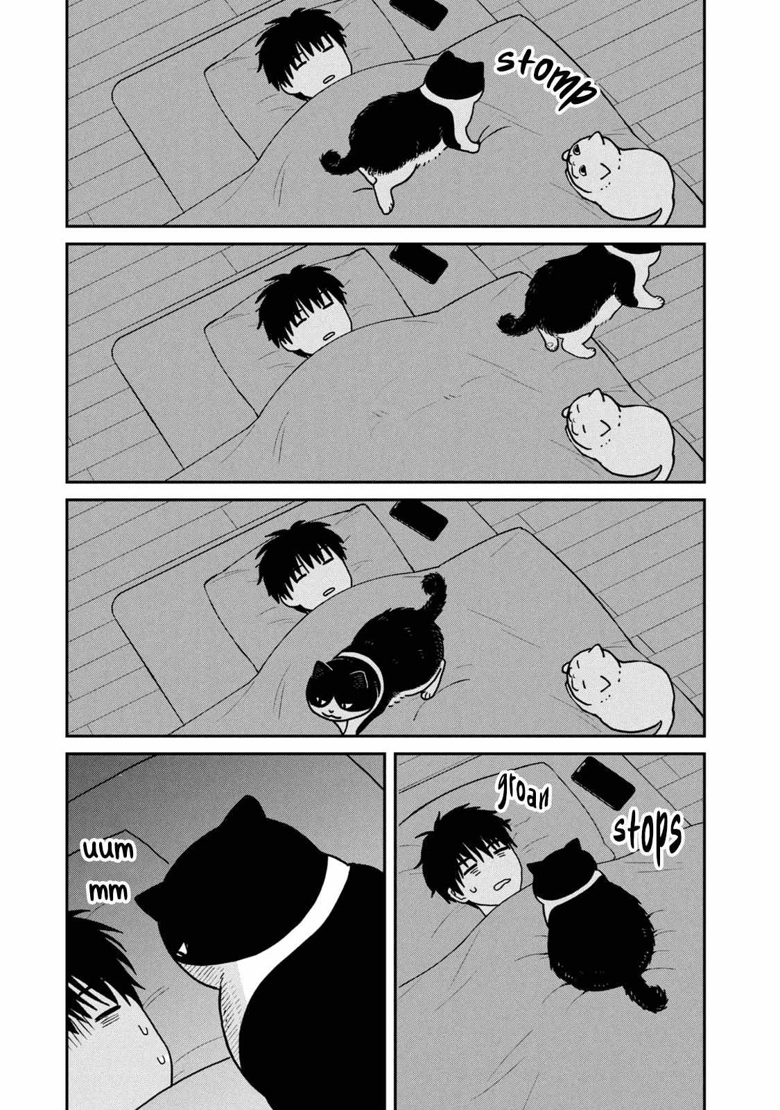 Tsureneko: Maruru to Hachi Chapter 22 page 11 - 