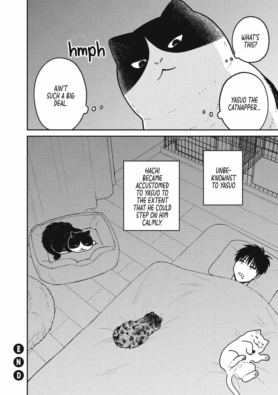 Tsureneko: Maruru to Hachi Chapter 22 page 12 - 