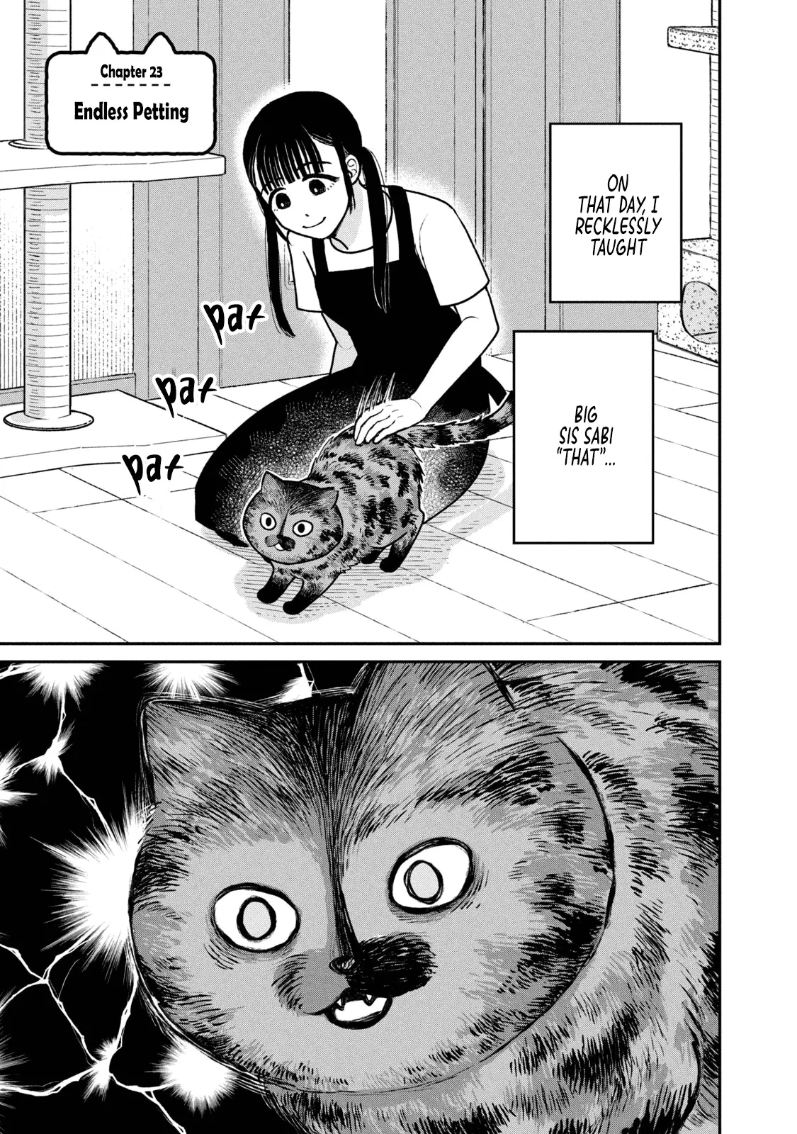 Tsureneko: Maruru to Hachi Chapter 23 page 2 - 