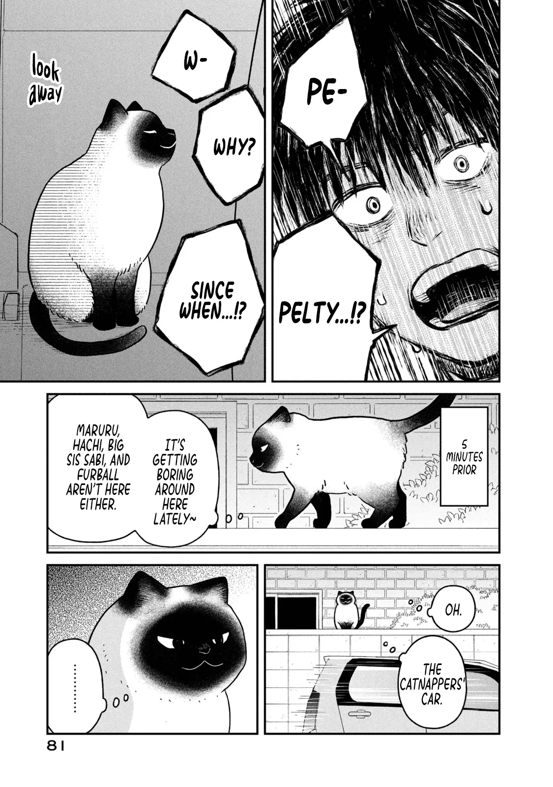 Tsureneko: Maruru to Hachi Chapter 23 page 12 - 